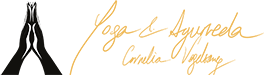 Cornelia Vogelsang Sticky Logo